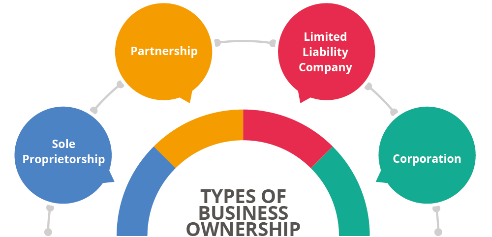Exploring the various types of business ownership find your perfect fit 68789fb08dfd3.png