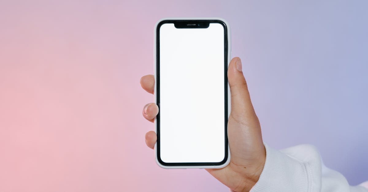 Pexels photo 8217517